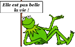 :grenouille2: